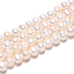 天然養殖淡水パールビーズ連売り  ポテト  乳白色  5~6.5x5~6mm  穴：0.6mm  約69~73個/連  14.17~14.57''（36~37センチメートル）&nbsp;PEAR-N013-05N