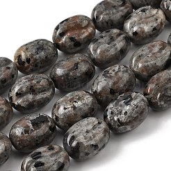 Natural Fluorescent Syenite Rock(Glow under UV Light)  Beads Strands&nbsp;G-K362-D02-03