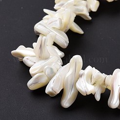 天然trochidシェルビーズ連売り  チップ  ホワイト  2~11x22~25x5~8mm  穴：0.8mm  約93~148個/連  14.57~15.94インチ（37~40.5cm）&nbsp;X-SSHEL-G023-05B