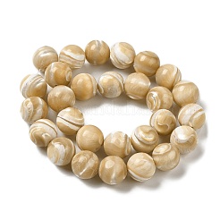 Natural Trochus Shell Beads Strands&nbsp;SHEL-K006-18B
