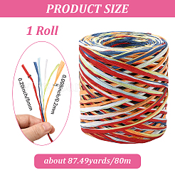Segment Dyed Raffia Paper Cords for DIY Craft&nbsp;OCOR-WH20020-27H