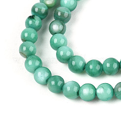 Natural Freshwater Shell Beads Strands&nbsp;X-BSHE-T009A-01J