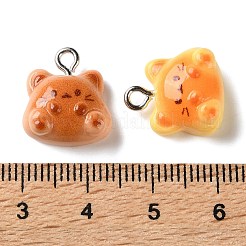 Resin Pendants&nbsp;RE-T001-02