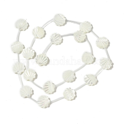 Natural Trochid Shell/Trochus Shell Beads&nbsp;BSHE-B005-05