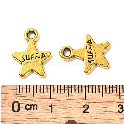 Tibetan Style Alloy Charms&nbsp;GLF9221Y