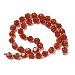 Natural Carnelian(Dyed & Heated) Beads Strands&nbsp;G-K387-A12-02