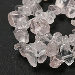 Natural Rose Quartz Chip Beads Strands&nbsp;F007-02