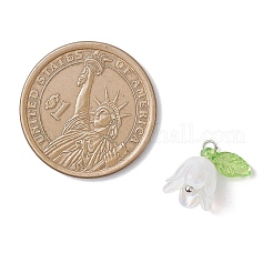 5個透明アクリルパーツ  ユリの花のチャーム  ステンレス鋼色  12.5x13.5x11mm  穴：1.8mm&nbsp;PALLOY-JF04703-02