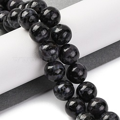 天然長石ビーズ連売り  インディゴガブロラウンドビーズ  ラウンド  10mm  穴：1mm  約38個/連  15.04''（38.2センチメートル）&nbsp;G-NH0033-A01-03