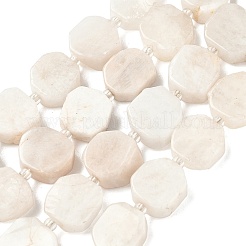 Natural White Moonstone Beads Strands&nbsp;G-I394-D25