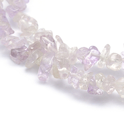 Natural Amethyst Beads Strands&nbsp;G-P406-09