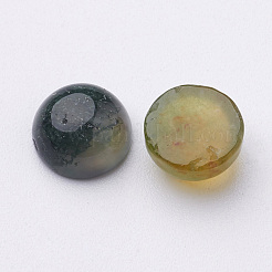Natural Moss Agate Cabochons&nbsp;G-MOSS8x4