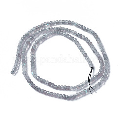 Natural Labradorite Beads Strands&nbsp;X-G-F596-07