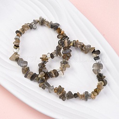 Natural Moonstone Chip Beaded Stretch Bracelets for Women Men&nbsp;BJEW-L038-01D