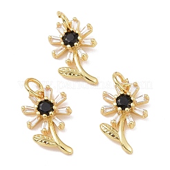 Rack Plating Brass Micro Pave Cubic Zirconia Pendants&nbsp;KK-E033-11G