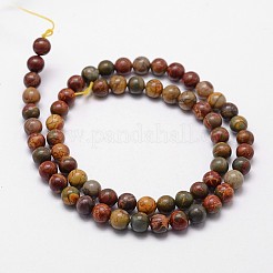 Natural Polychrome Jasper/Picasso Stone/Picasso Jasper Bead Strands&nbsp;G-G735-14-6mm