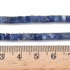 天然石ソーダライトビーズ連売り  フラットラウンド  4x2mm  穴：1mm  約169個/連  14.96''（38センチメートル）&nbsp;G-P468-19