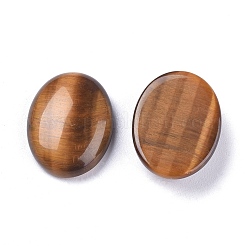 Natural Tiger Eye Cabochons&nbsp;G-R476-04D