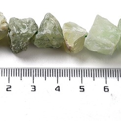 Raw Rough Natural Prehnite Beads Strands&nbsp;G-P528-A05-01