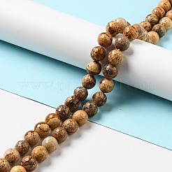 Natural Picture Jasper Beads Strands&nbsp;G-E571-39