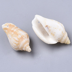 天然スパイラルシェルペンダント  ミックスカラー  20~76x10~53x10~34mm  穴：1.2~2mm&nbsp;SSHEL-N035-02