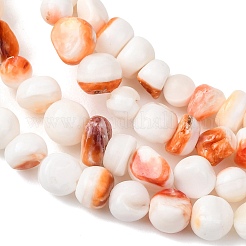 Natural Sea Shell Beads Strands&nbsp;SHEL-K006-77