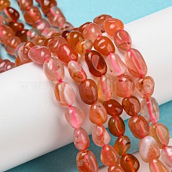 天然石赤瑪瑙ビーズ連売り  ナゲット  タンブルストーン  3~11x4~8x3~6mm  穴：0.9mm  約56個/連  15.94''~15.75''（40~40.5センチメートル）&nbsp;G-P497-01A-11