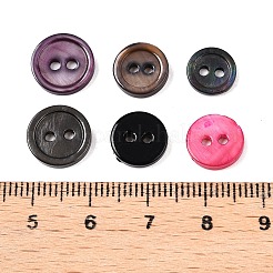 Freshwater Shell Buttons&nbsp;BUTT-T013-04