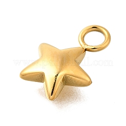 304 Stainless Steel Charms&nbsp;STAS-R159-22G
