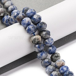 Natural Blue Spot Jasper Beads Strands&nbsp;G-K380-A02-01