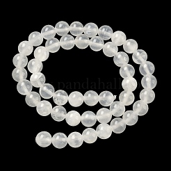 Natural Selenite Beads Strands&nbsp;G-N328-025B-01