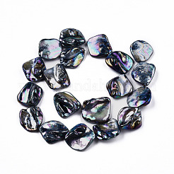 Freshwater Shell Beads Strands&nbsp;SHEL-N026-204