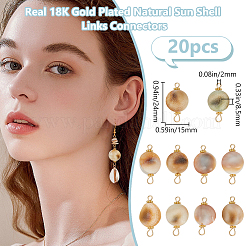20Pcs Natural Trumpet Shell Bead Connector Charms&nbsp;FIND-BBC0003-12
