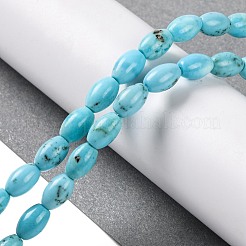 Natural Howlite Beads Strands&nbsp;G-H025-02B