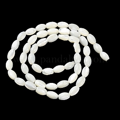 天然ニシキウズガイシェルビーズ連売り  ライス  フローラルホワイト  3~3.5x4~5.5mm  穴：0.5mm  約77~78個/連  15.55インチ（39.5cm）&nbsp;X-BSHE-E030-02C