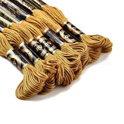 Polyester Embroidery Floss&nbsp;OCOR-TAC0013-10A-114