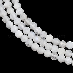 天然レインボー ムーンストーン ビーズ 連売り  ラウンド  多面カット  3.25mm  穴：0.5mm  約116個/連  14.96''（38センチメートル）&nbsp;G-RM250101-B20