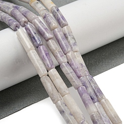天然紫ターコイズビーズ連売り  コラム  14x4mm  穴：1mm  約28個/連  15.35インチ（39cm）&nbsp;G-D464-48