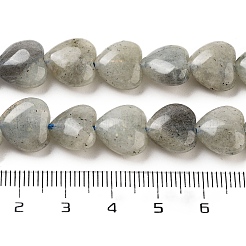 Natural Labradorite Beads Strands&nbsp;G-B022-32C