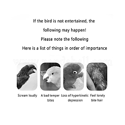 鳥オウムハムスターのおもちゃ  木製クロールスイングはしごプラットフォーム踏み台  鳥小動物用  アンティークホワイト  23.8x10x1.55cm  3個/セット&nbsp;AJEW-WH0114-41