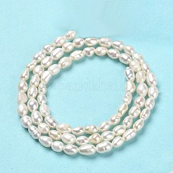 天然養殖淡水パールビーズ連売り  ライス  フローラルホワイト  4~4.5x3~4x3~4mm  約73~74個/連  13.78''（35センチメートル）&nbsp;PEAR-E016-124