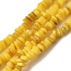 天然淡水シェルビーズ  染め  ナゲット  ミックスカラー  4.5~9x4.5~7x1.5~5mm  穴：0.8mm  約163~165個/連  14.88~15.08''（37.8~38.3センチメートル）&nbsp;SHEL-B003-01