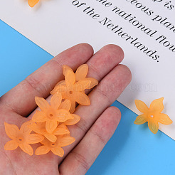 透明なアクリルビーズ  艶消し  花  砂茶色  26x27x6mm  穴：1.8mm  約980個/500g&nbsp;MACR-S373-127-D05