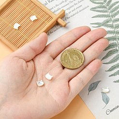 ナチュラルホワイトシェルビーズ5個。  猫の頭  貝殻色  6x7x3mm  穴：0.8mm&nbsp;BSHE-CJ0001-07