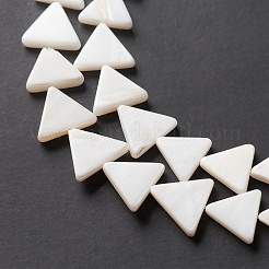 Natural Freshwater Shell Beads Strands&nbsp;BSHE-E028-02