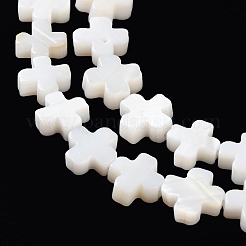 天然淡水シェルビーズ連売り  クロス  フローラルホワイト  7.5~8x7.5~8.5x2.5~3mm  穴：0.7mm  約50個/連  15.47''（39.3センチメートル）&nbsp;X-SSHEL-B002-11