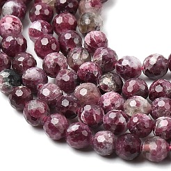 Natural Plum Blossom Tourmaline Beads Strands&nbsp;G-G344-C01-6mm