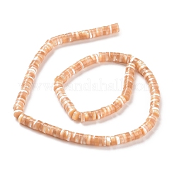 Natural Trochid Shell/Trochus Shell Beads Strands&nbsp;SSHEL-L016-13F