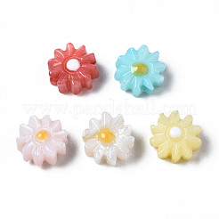 Natural Freshwater Shell Beads&nbsp;SHEL-N003-20A