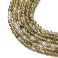 Natural Labradorite Beads Strands&nbsp;G-Z116-A04-2mm